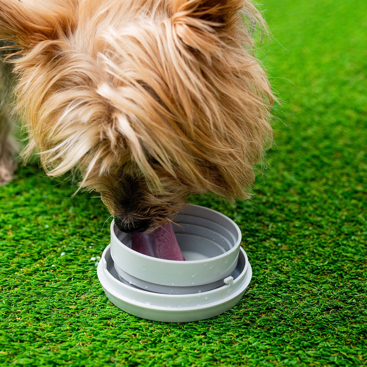 Innovagoods 6-In-1 Intrekbare Hondenriem Leashic Innovagoods