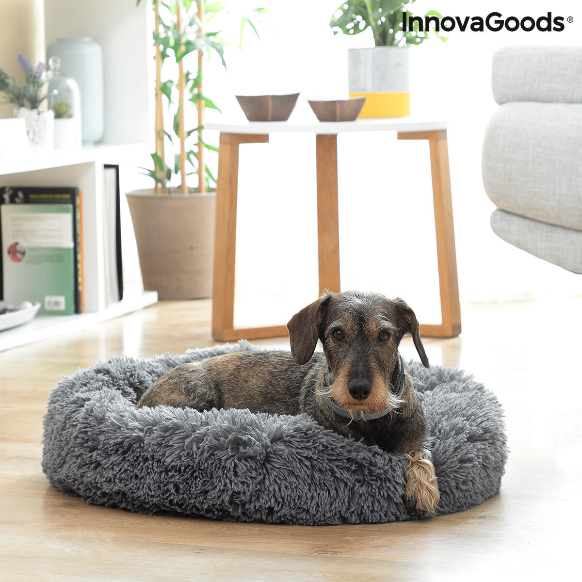 Innovagoods Antistressbed Voor Huisdieren Bepess Innovagoods Ø 60 Cm