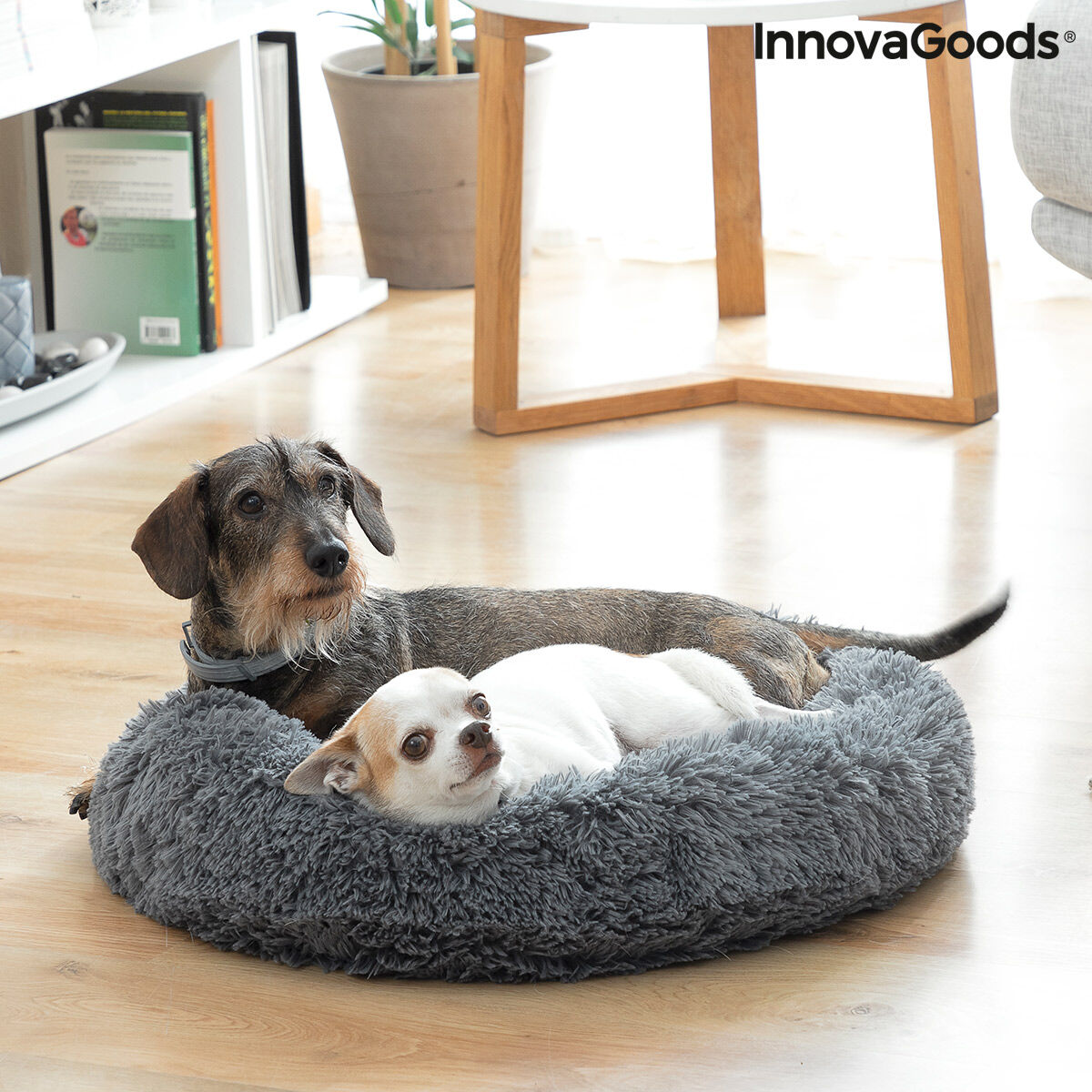 Innovagoods Antistressbed Voor Huisdieren Bepess Innovagoods Ø 60 Cm